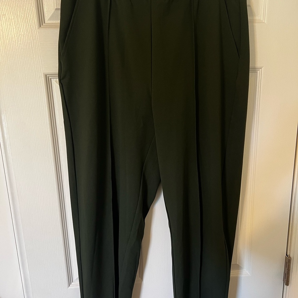 LOFT Forest Green Pants